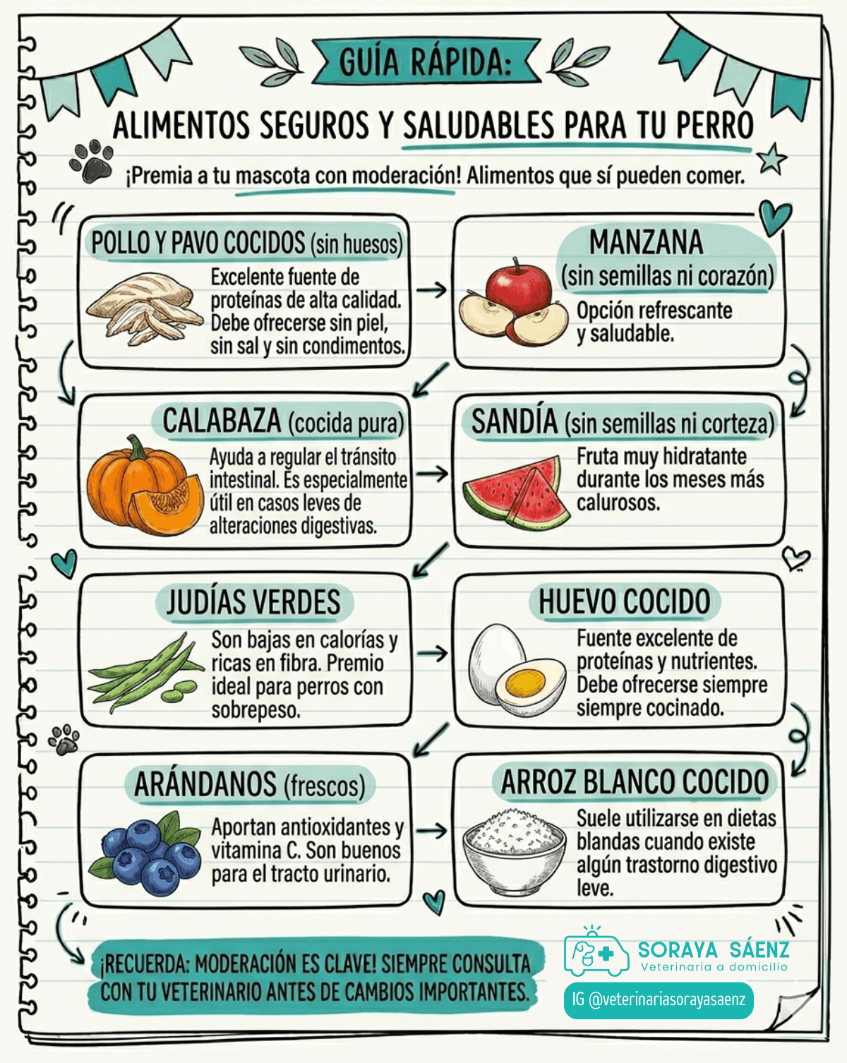 Infografía de alimentos saludables para perros